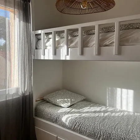 Lavande Sainte-Maxime