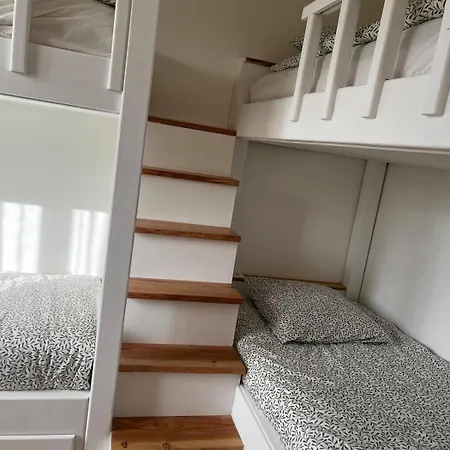 Lavande Sainte-Maxime