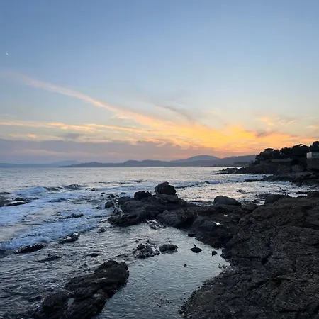 Lavande * Sainte-Maxime