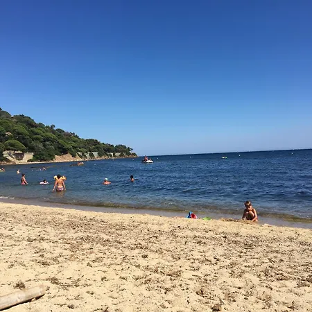 Lavande *